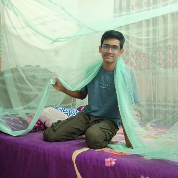Mosquito Net - Paste Color